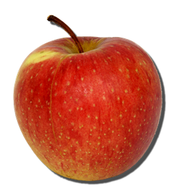 apfel